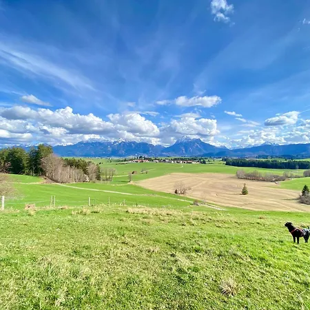 Butler Lovebirds I Kueche I Parken I Bergblick I Seenaehe