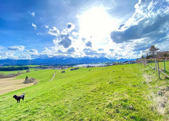 Apartment Mit Balkon & Bergblick I Parkplatz I Kueche I Seenaehe Fussen